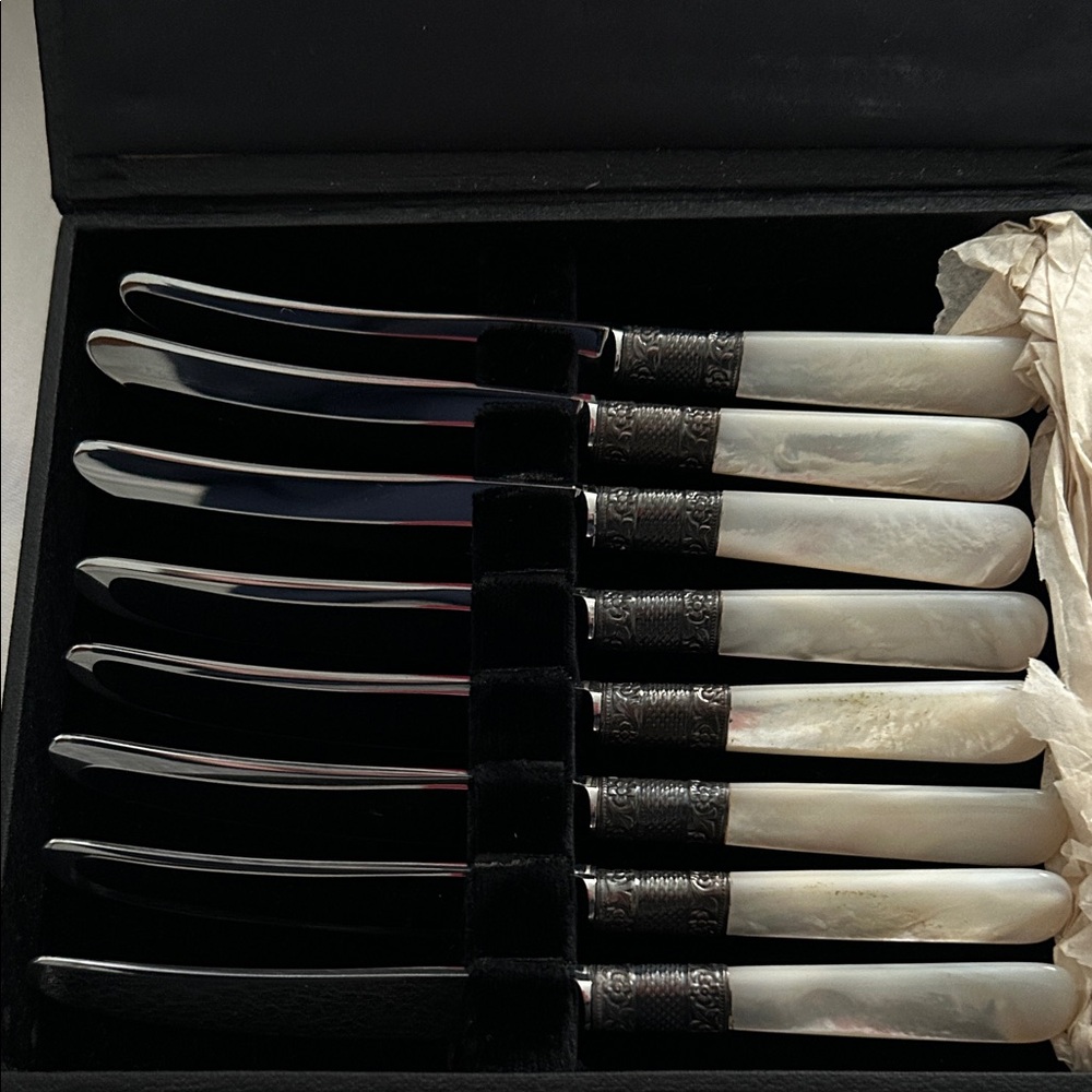 Vintage Genuine Mother of Pearl Stainless Steel Knife Set